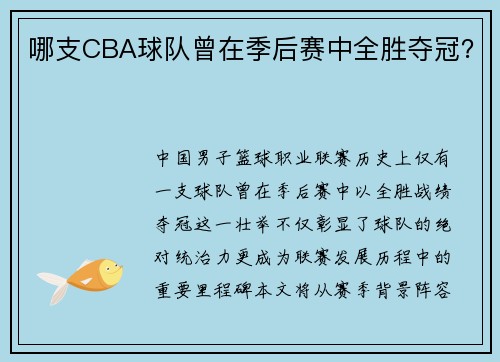 哪支CBA球队曾在季后赛中全胜夺冠?