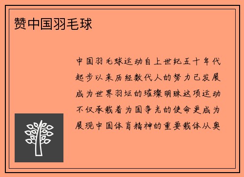 赞中国羽毛球